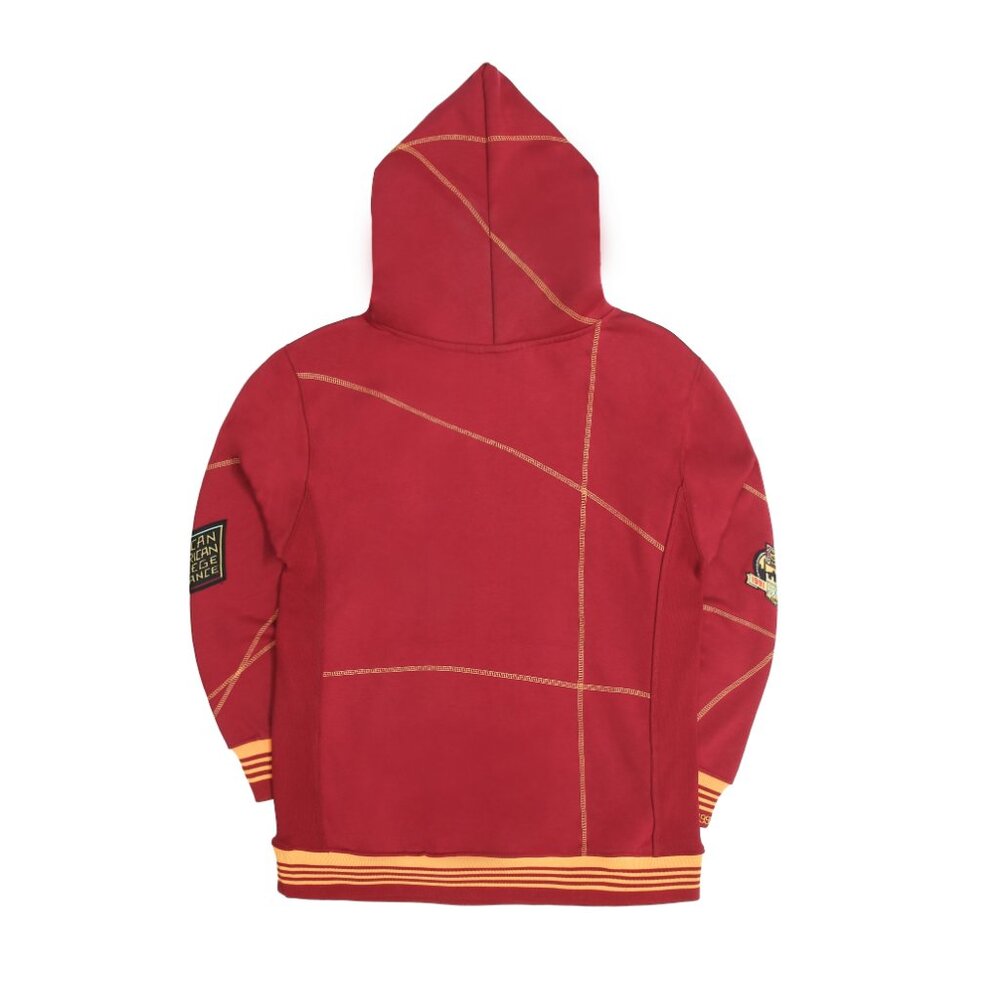 UDC FIREBIRDS Hoodie Retro HBCU Pride AACA Sweatshirt Alumni Gear, Red - Picture 2 of 9